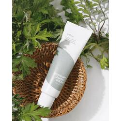 Isntree Calming Mugwort Cream