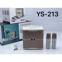 YS-213 Karaoke With 2 Microphones