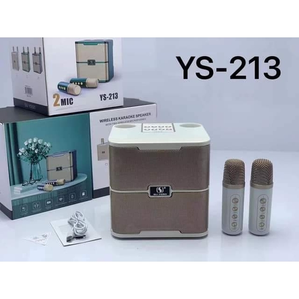 YS-213 Karaoke With 2 Microphones
