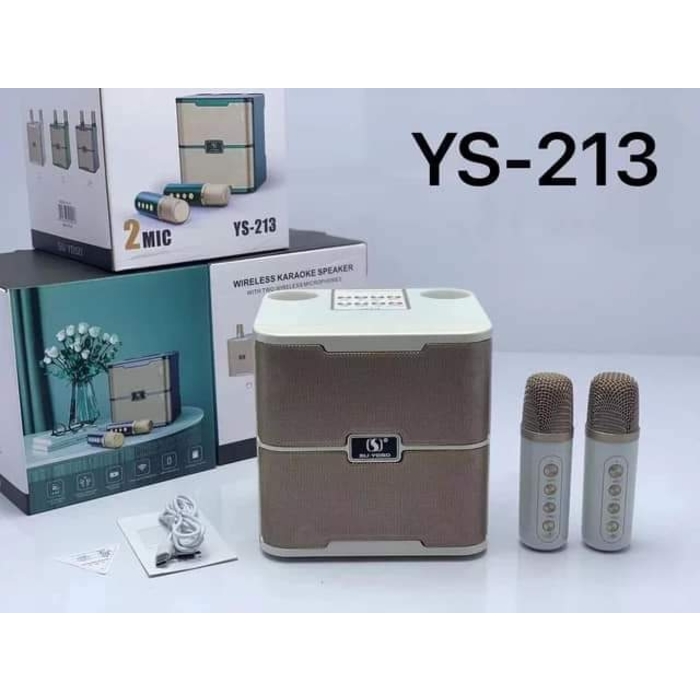 YS-213 Karaoke With 2 Microphones