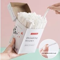 Disposable Straw 300pcs