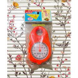 Automatic plastic hanging scale 