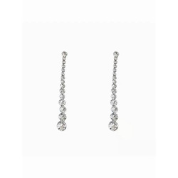 Woman's Fashion Earrings / ក្រវិលនារី