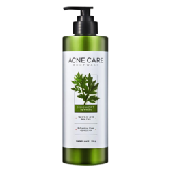 SHOWER MATE Mugwort Acne  Care Body Wash 500g