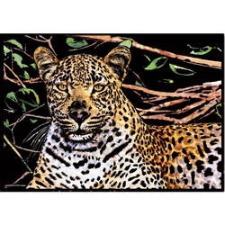 🇹🇭 Scraping Art A3 Size Color Scratching Decorative Picture