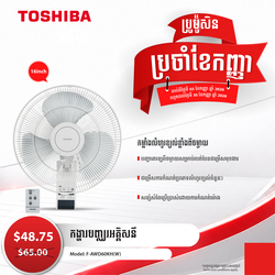 Wall Fan 16" inch blade, 3 speeds, RC, TC / F-AWD60KH(W)