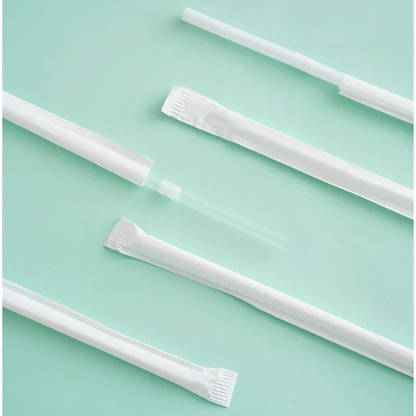 Disposable Straws 100PCS (Individually Packed)