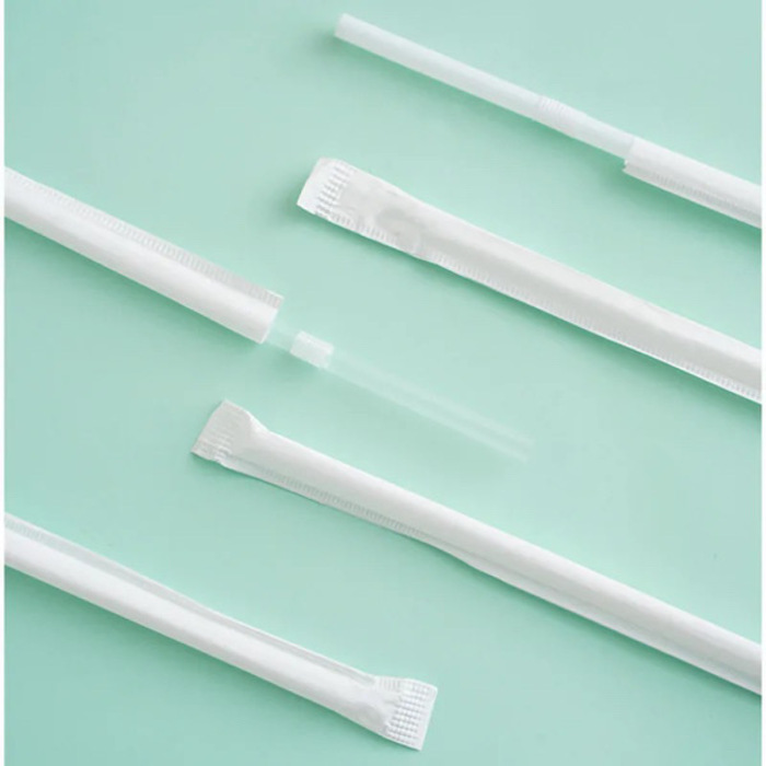 Disposable Straws 100PCS (Individually Packed)