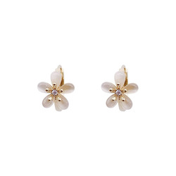Woman's Fashion Earrings