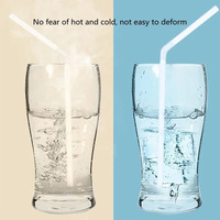 Disposable Straws 100PCS (Individually Packed)