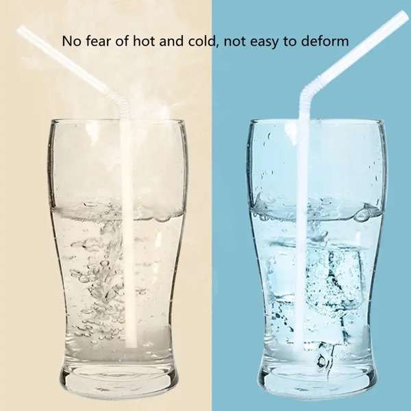 Disposable Straws 100PCS (Individually Packed)