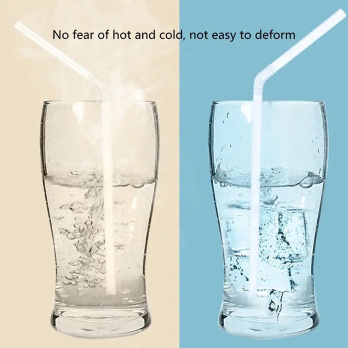 Disposable Straws 100PCS (Individually Packed)