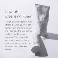 Borntree Berry Essence Cleansing Foam