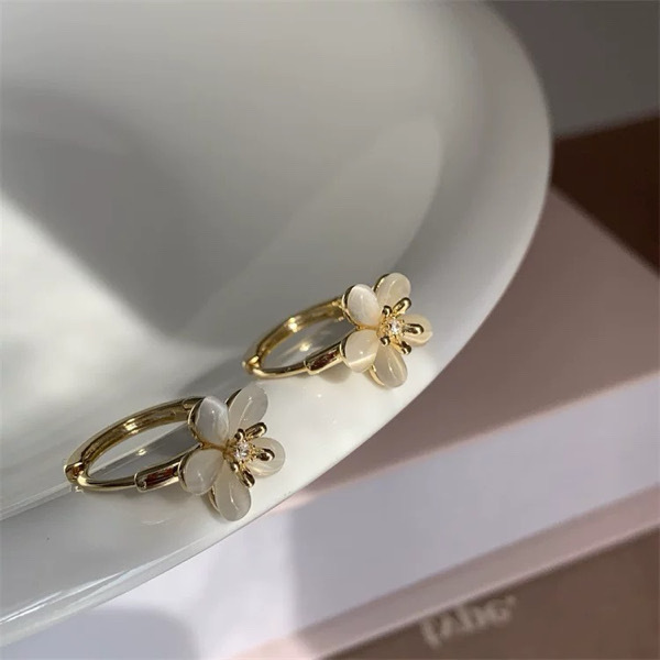 Woman's Fashion Earrings / ក្រវិលនារី