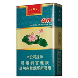 Cigarette Soft Helian-10packs 