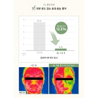 SKINFOOD Shine Muscat Cica BHA Food Mask