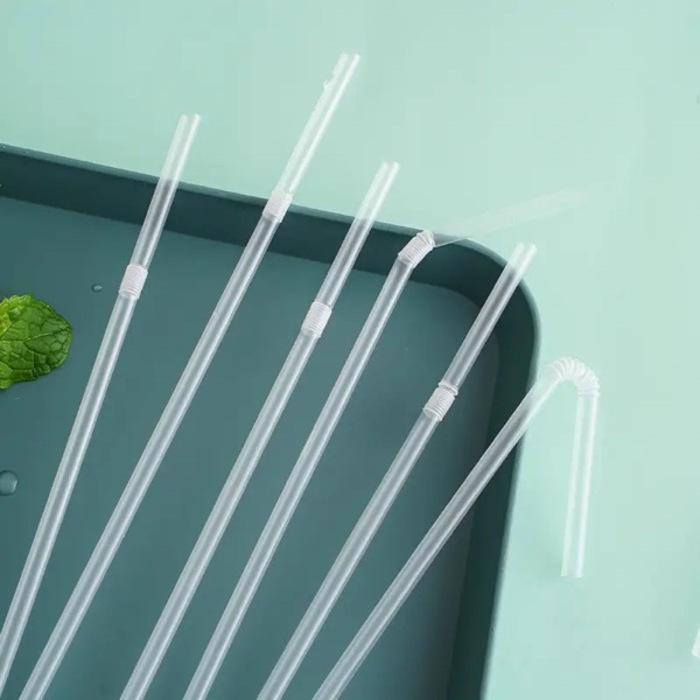 Disposable Straws 100PCS (Individually Packed)