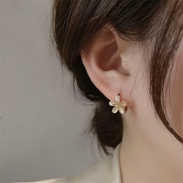 Woman's Fashion Earrings / ក្រវិលនារី