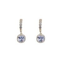 Woman's Fashion Earrings / ក្រវិលនារី