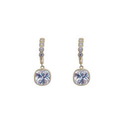 Woman's Fashion Earrings / ក្រវិលនារី