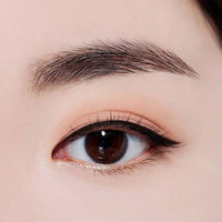 Etude Line Fix Brush Liner #brown 