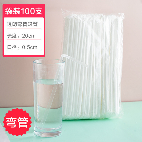 Disposable Straws 100PCS (Individually Packed)