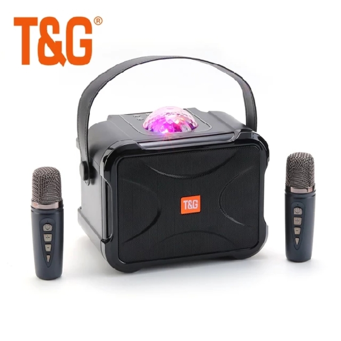 TG543DK Karaoke with 2 Microphones