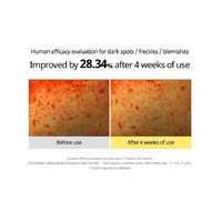 GOODAL Green Vita C Dark Spot Care Sun Serum