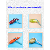 Stainless Steel Peeler - Random Color