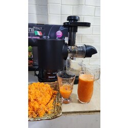 Slow Juicer 500W DS-98V3