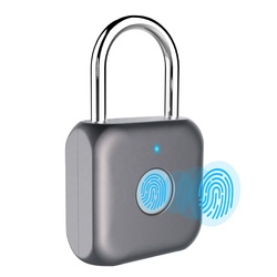 Finger Print Secure Padlock