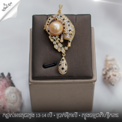 បន្តោងខ្សែក អាចធ្វេីជាកន្លាស់អាវបាន គុជខ្យងសុទ្ធ 