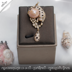 បន្តោងខ្សែក អាចធ្វេីជាកន្លាស់អាវបាន គុជខ្យងបារ៉ក់  