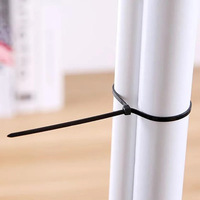 Black Self-Locking Cable Tie 2.5x200mm 100PCS