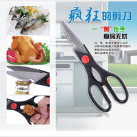 Kitchen Scissors