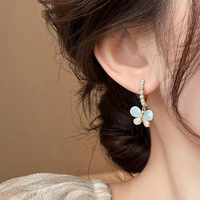 Woman's Fashion Earrings / ក្រវិលនារី