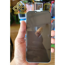 iPhone 12 Pro 9H Pravacy Screen (Black)