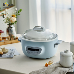 Bear BF-C25E1 Slow Stewer