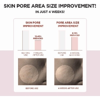 Skin 1004 Madagascar Centella Poremizing Clear Toner