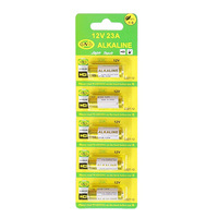 12V A23 Alkaline Battery 2PCS