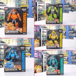 Transfigure WWT