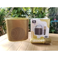 YS-101 Cute Karaoke with Microphone