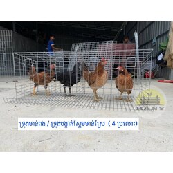 ទ្រុងមាន់ពង/ទ្រុងបង្កាត់ស្ពែមមាន់ស្រែ (4ប្រលោះ)