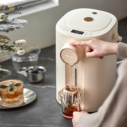 Bear Electric Kettle 5L WK-H50E1