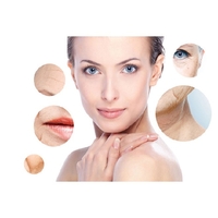 ខូឡាជែន SHISEIDO