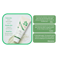 Round Lab Mugwort Calming Cleanser