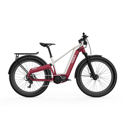 Yadea Model SC 800 Electronic Bike 