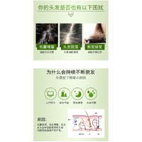 Kumano Yushi Horse Oil Tonic Rinse In Shampoo 