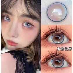 Ovolook 6 Months Contact Lens Degree 0.00 14.2mm (Unknown World)