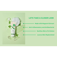 Round Lab Mugwort Calming Cleanser